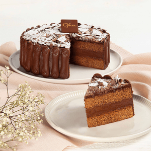BOLO DE CHOCOLATE GATO
