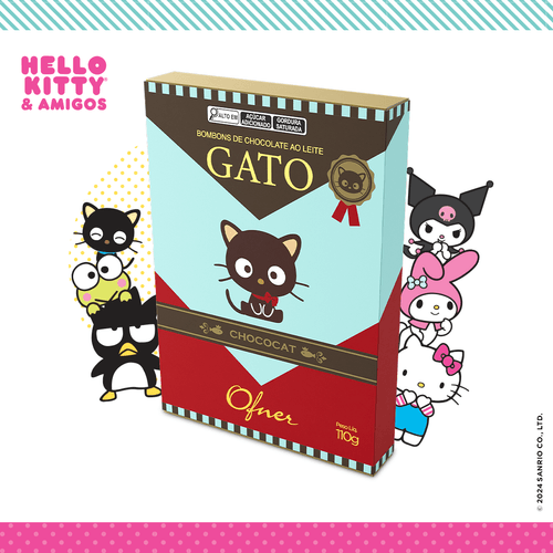 CAIXA GATO CHOCOCAT 110G