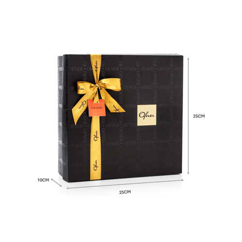 CAIXA PRESENTE M 25CMX25CMX10CM